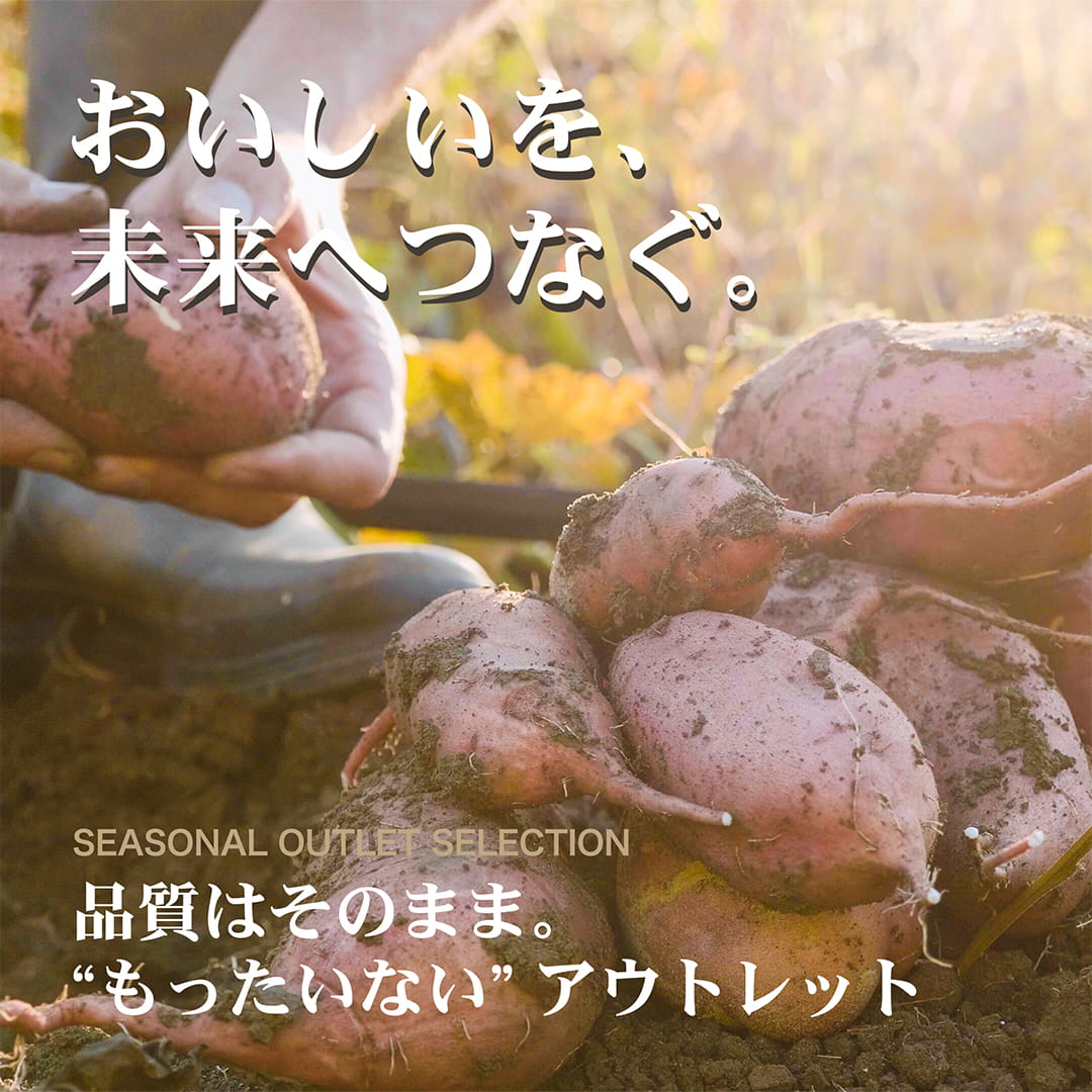 訳あり・お得なサツマイモ アウトレットコーナー