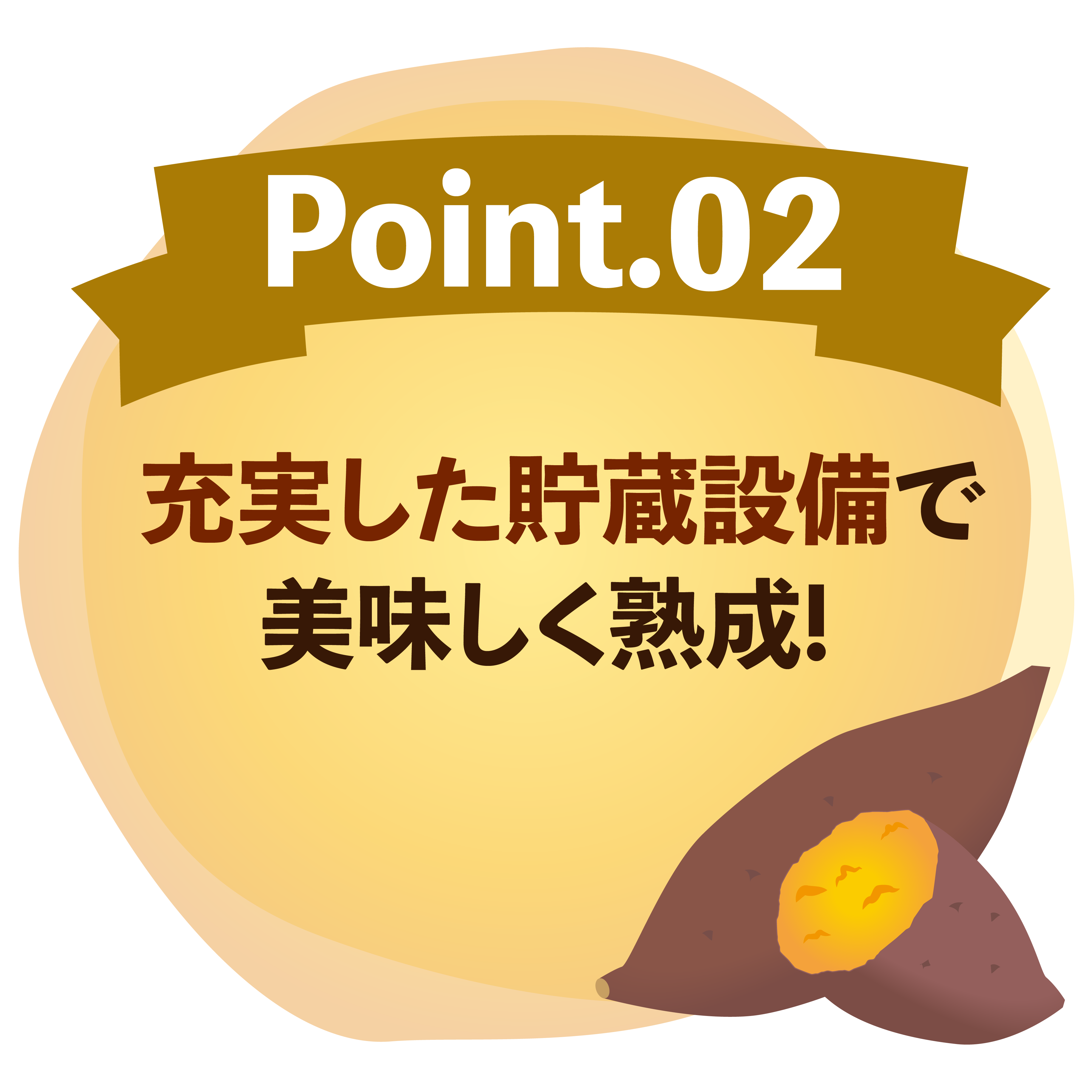 選ばれる理由その2