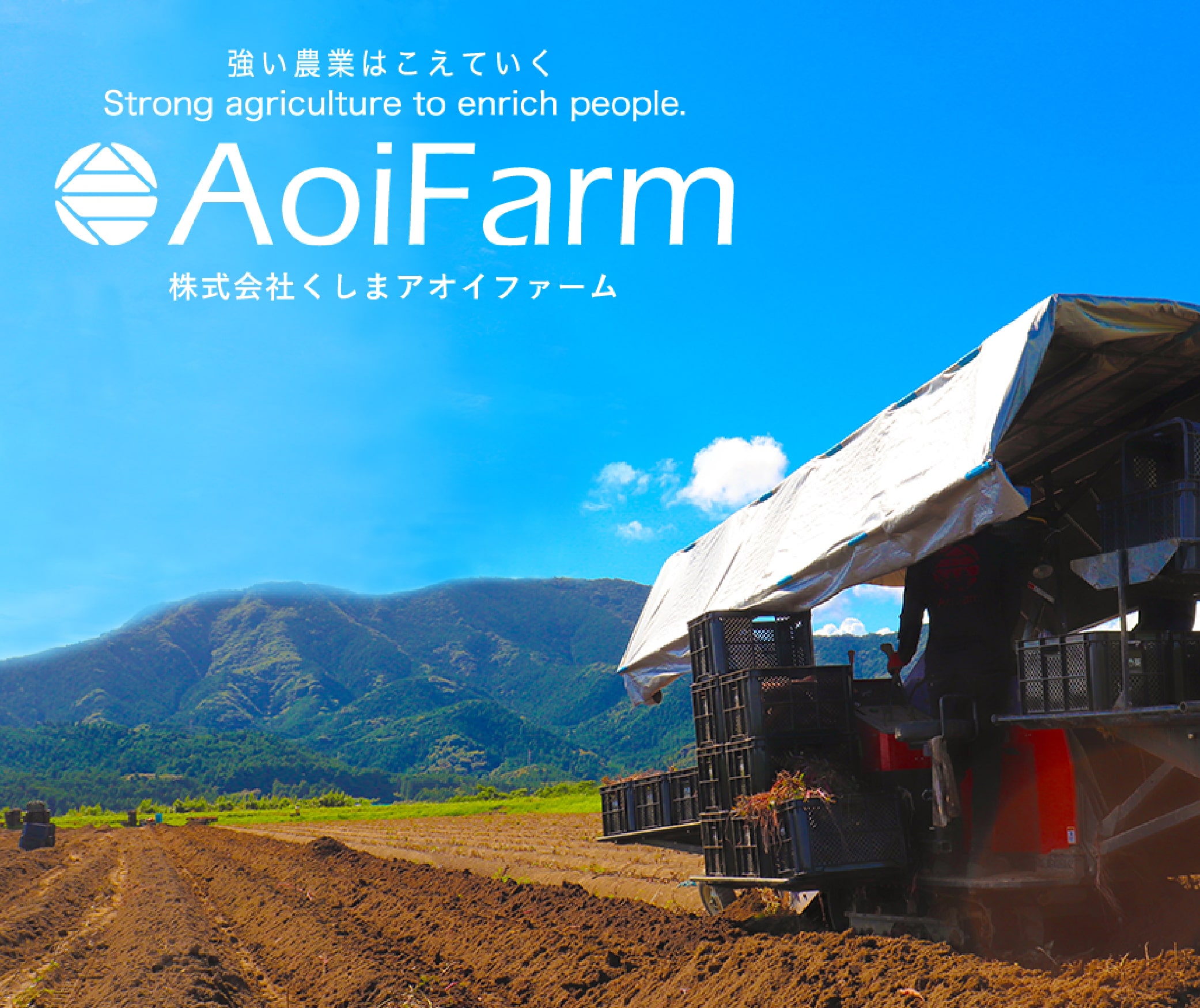 宮崎県串間市のさつまいも専門農家 くしまアオイファーム