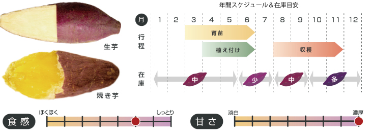 紅はるかの特徴チャート