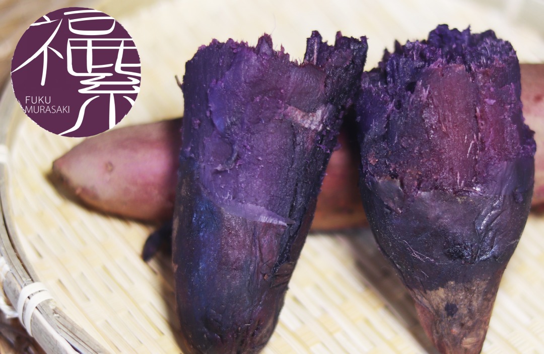 フクムラサキ(甘い紫芋)