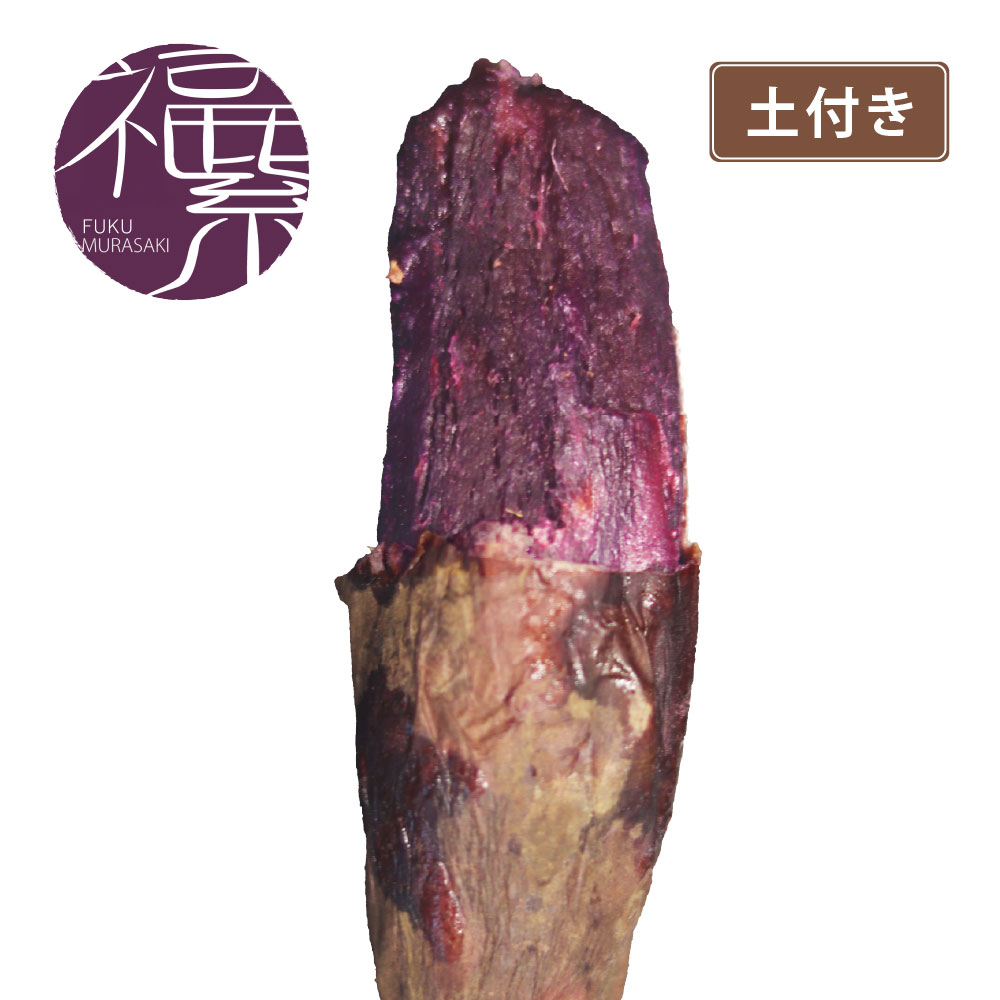 土付きフクムラサキ