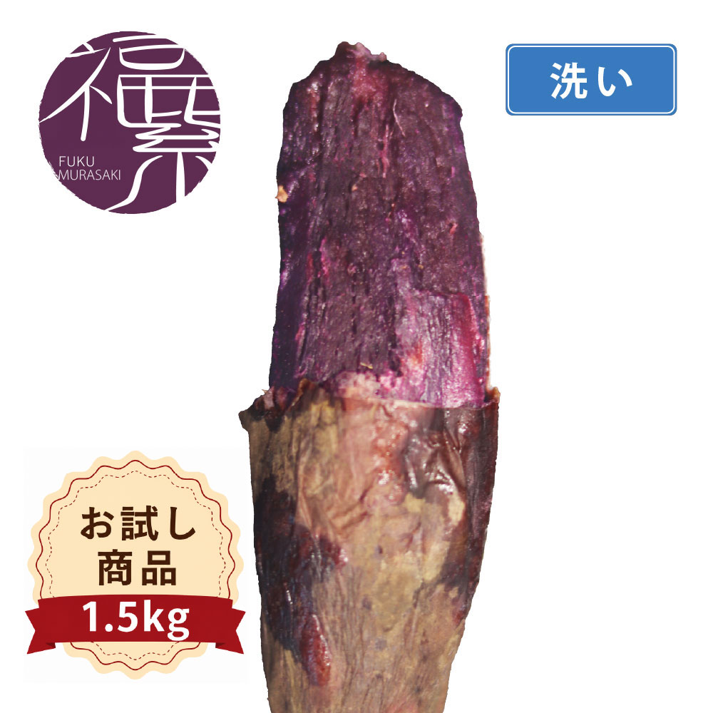 フクムラサキお試し