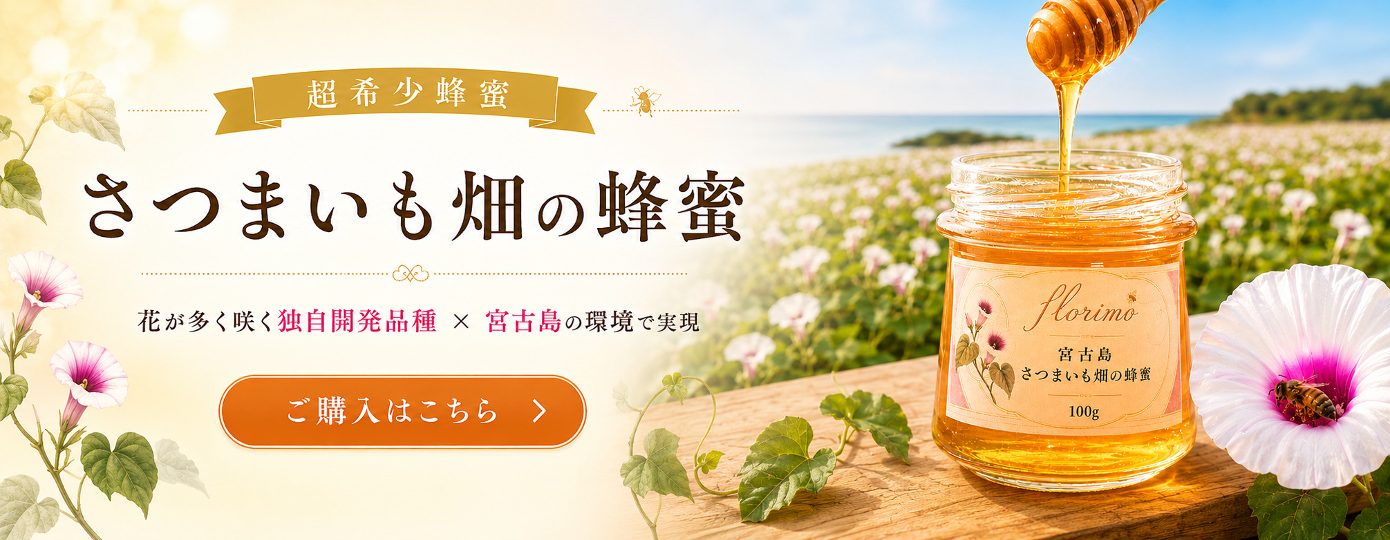 宮古島産さつまいも畑の蜂蜜