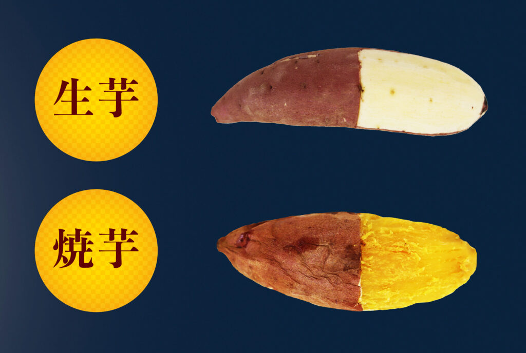 栗かぐやの生芋と加熱後の果肉色の比較