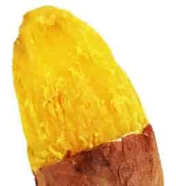 土付き】くちどけいも〈中サイズ〉 | サツマイモ専門店オイモール