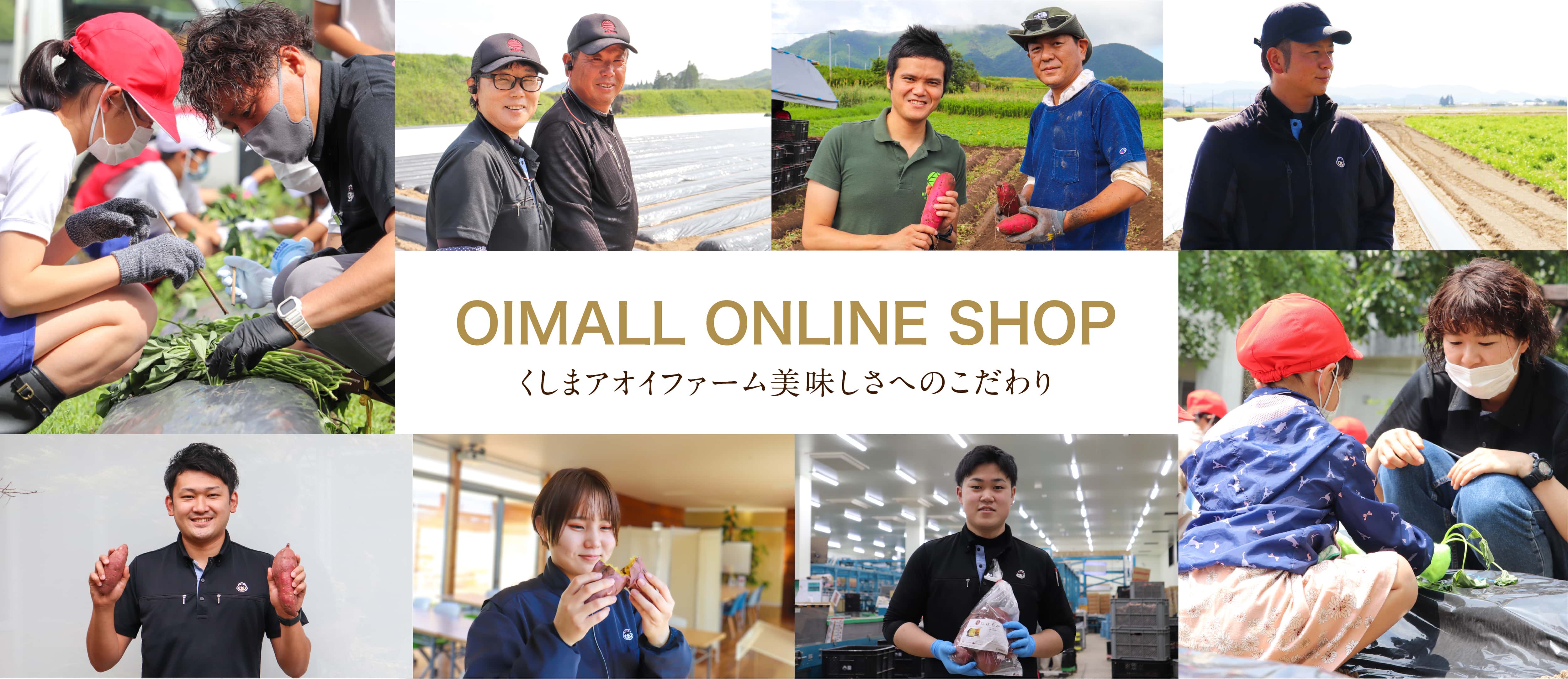くしまアオイファーム