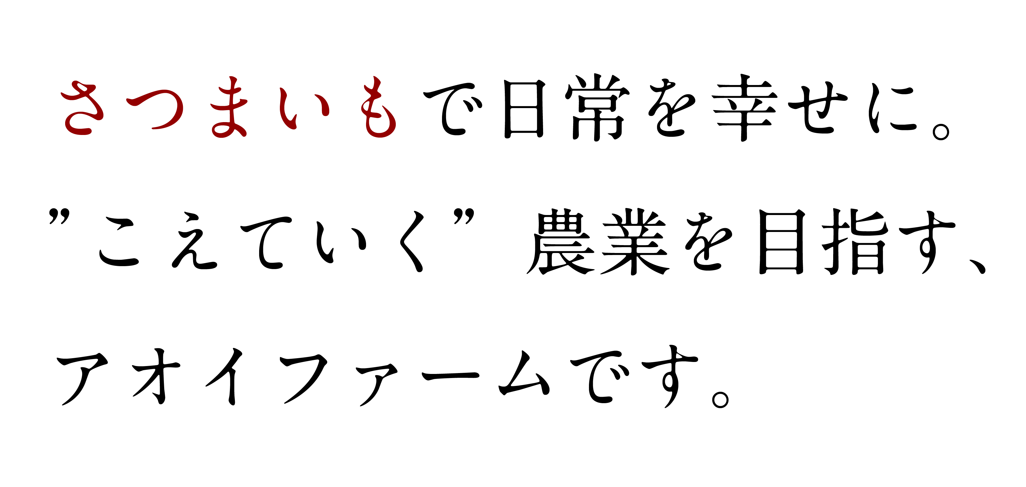 メインメッセージ