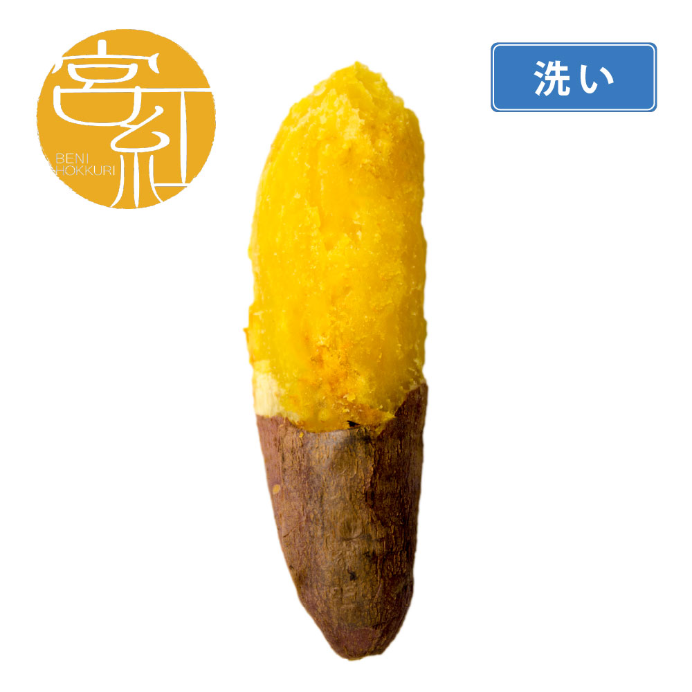 洗い宮崎紅