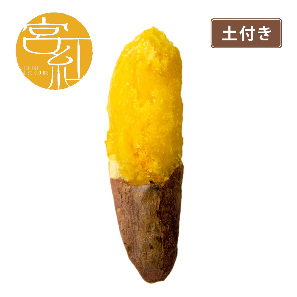 土付き宮崎紅