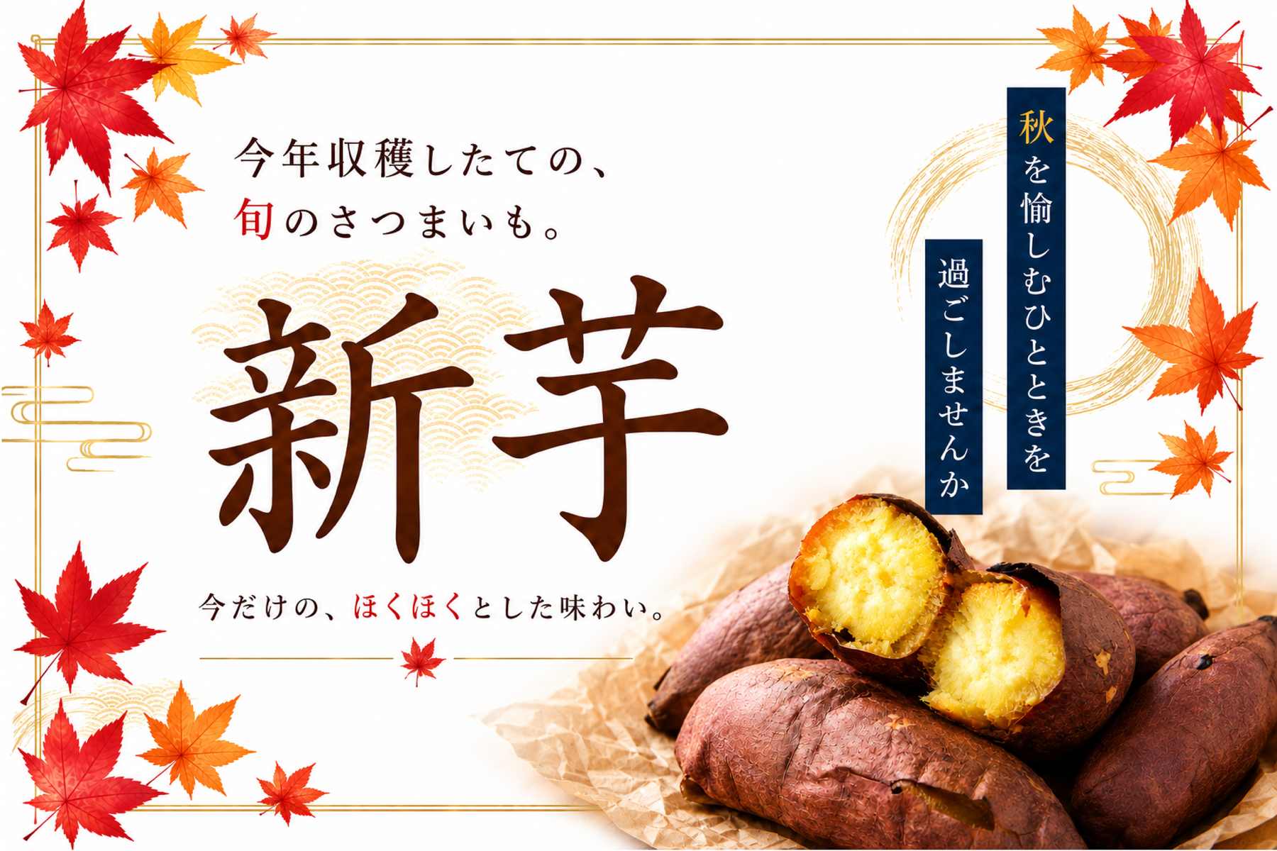 さつまいもの新芋　通販