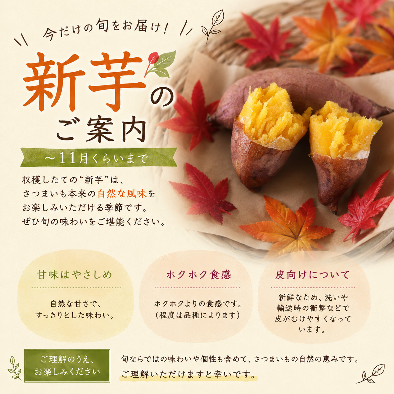 新芋でお届けしています。新芋の特徴と販売期間について