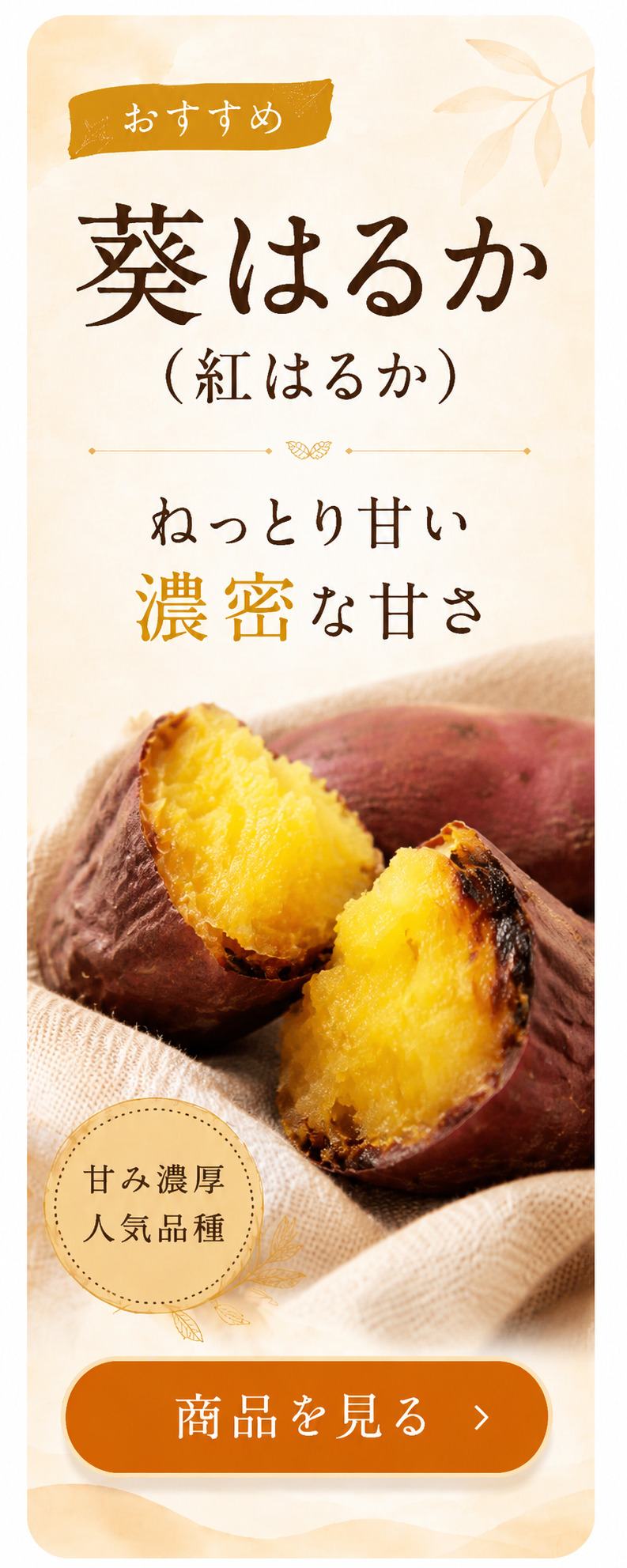 葵はるか