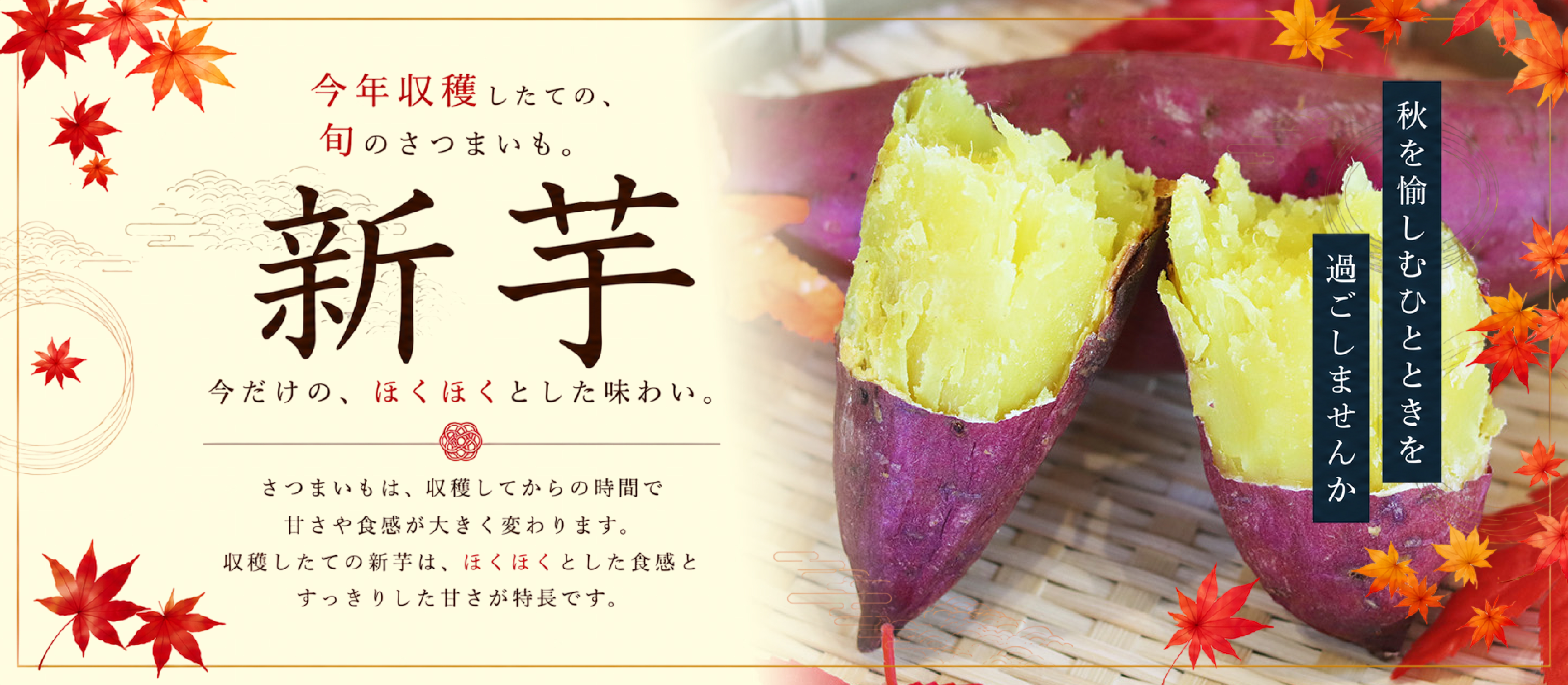 今年収穫したての新芋