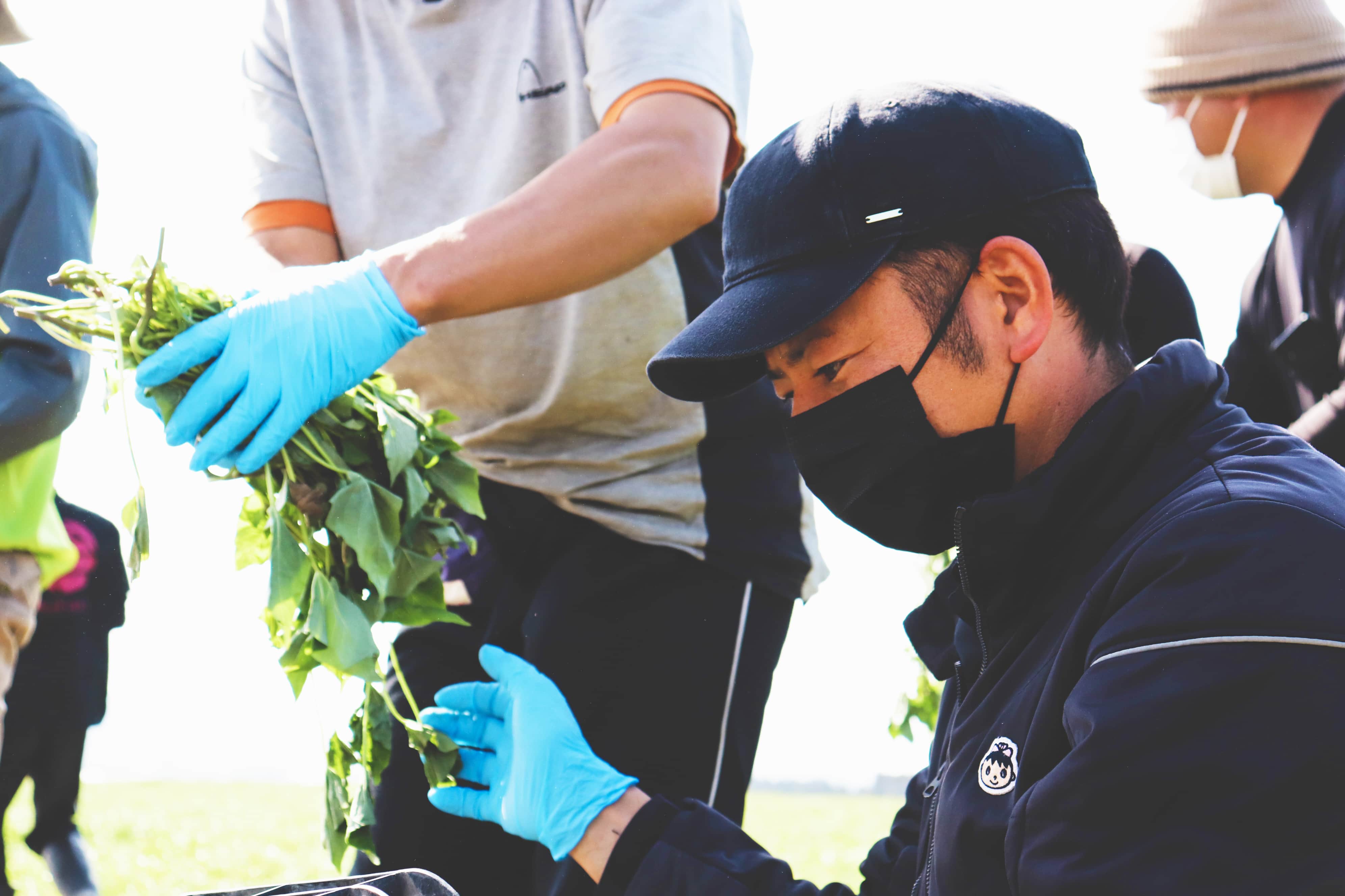 農家さんの写真