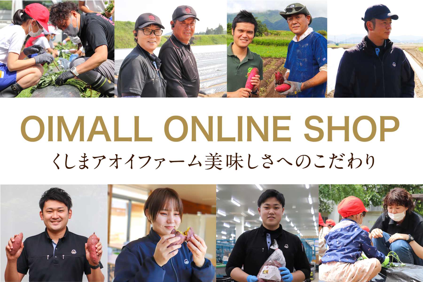 くしまアオイファームとは