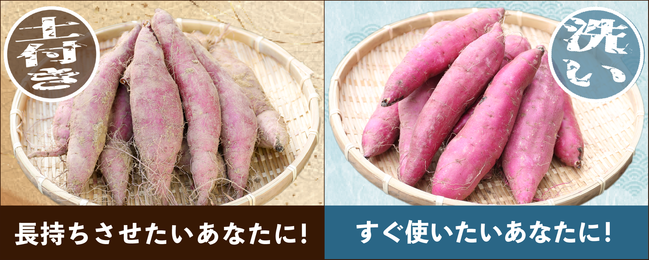 栗かぐや(かぐや金時) | サツマイモ専門店オイモール