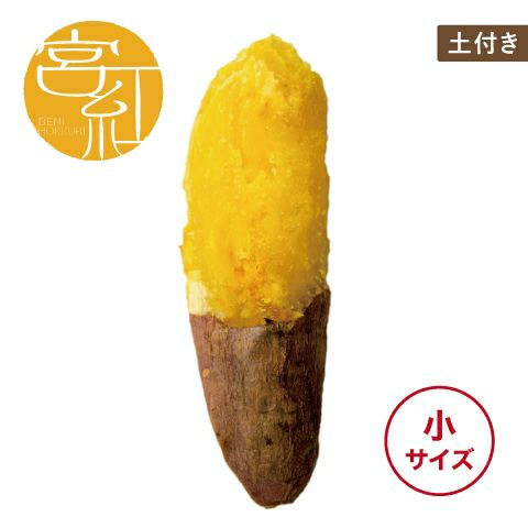 【土付き】べにほっくり〈小サイズ〉画像1
