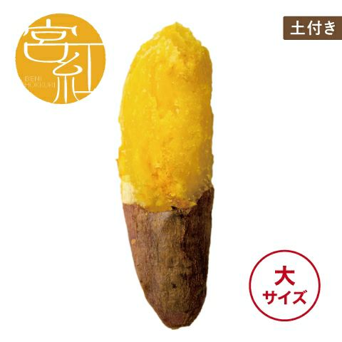 【土付き】べにほっくり〈大サイズ〉画像1