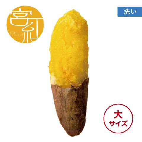 洗い】べにほっくり〈大サイズ〉 | サツマイモ専門店オイモール