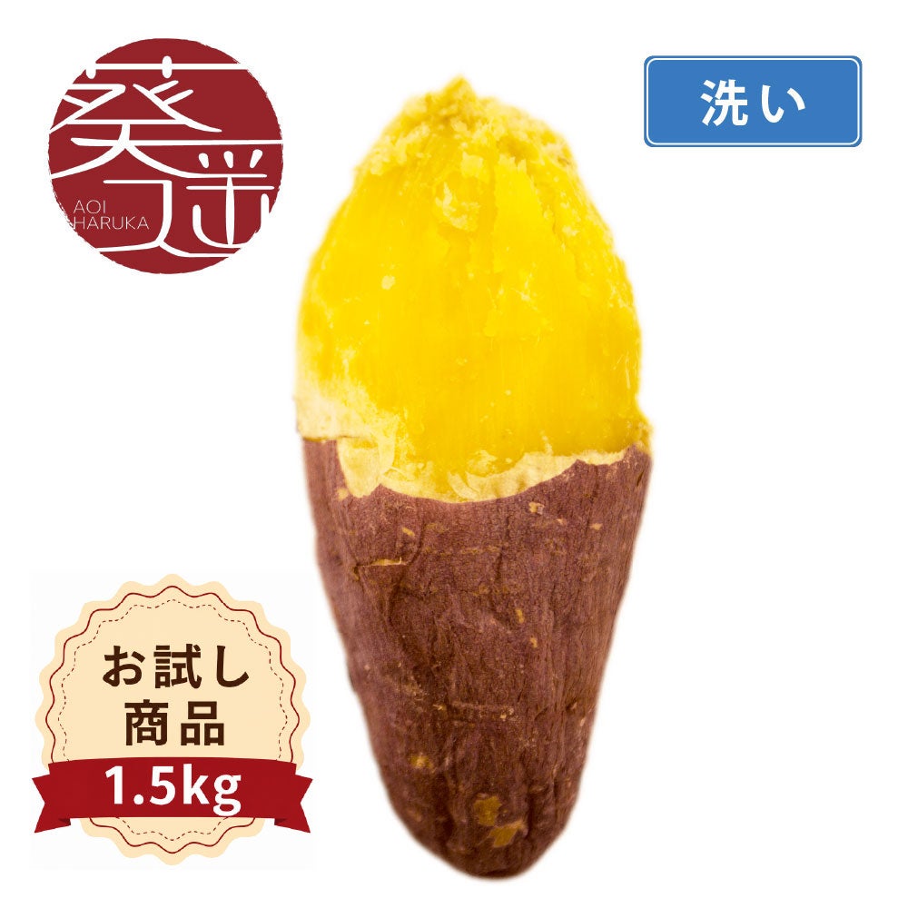 【お試商品】葵はるか　洗い 〈中サイズ〉画像1