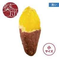 【洗い】葵はるか〈小サイズ〉画像1