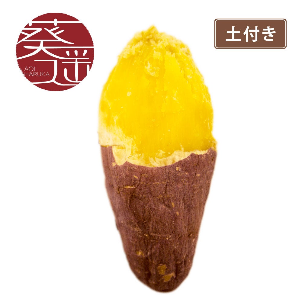 【土付き】葵はるか〈中サイズ〉画像1