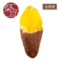 【土付き】葵はるか〈中サイズ〉画像1