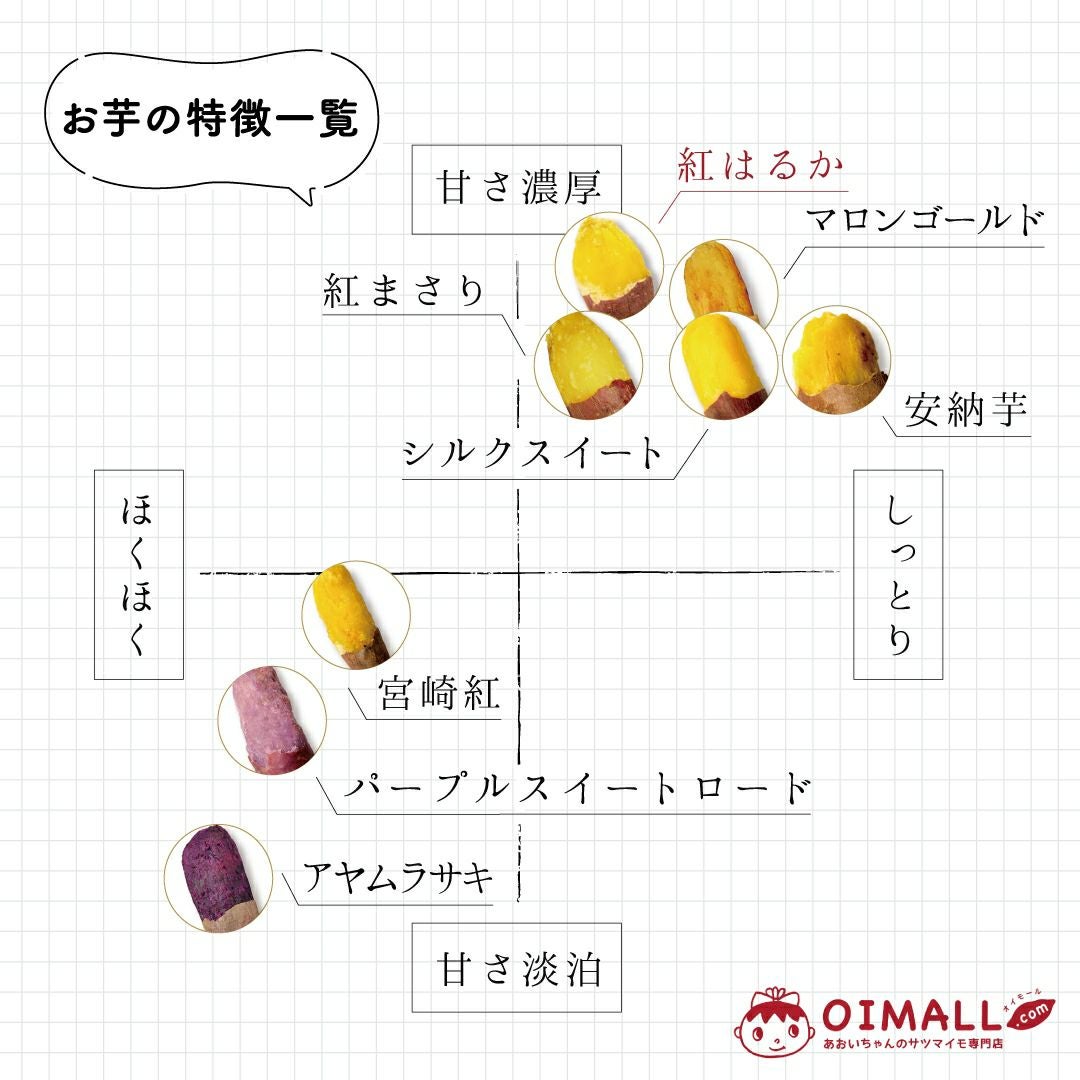 【土付き】葵はるか〈中サイズ〉画像5