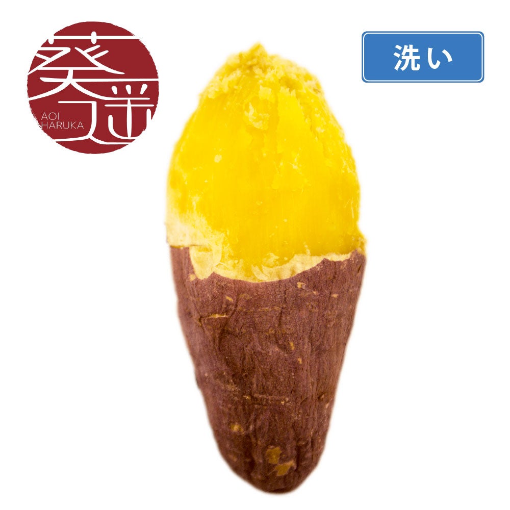 【洗い】葵はるか〈中サイズ〉画像1