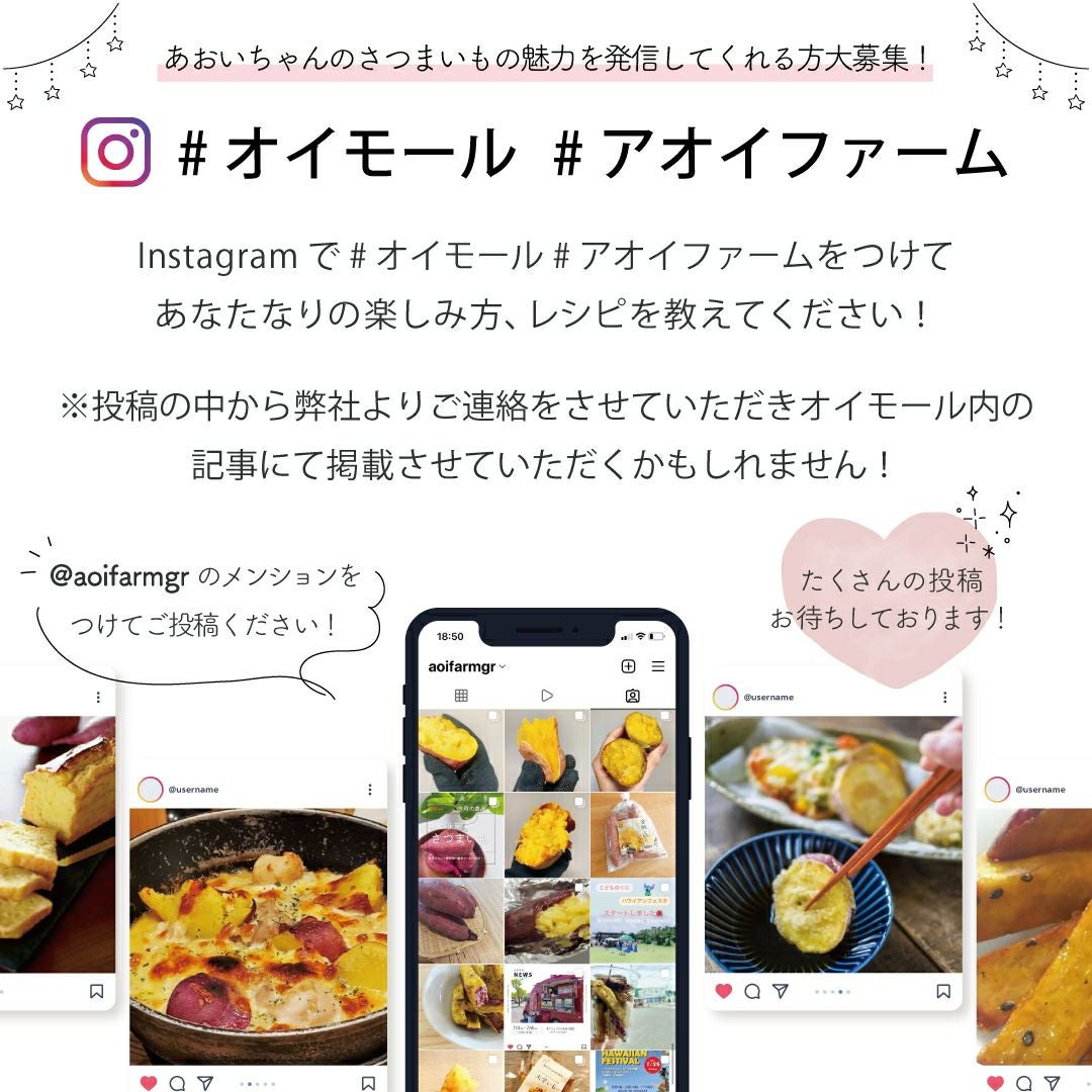 【洗い】くちどけいも〈中サイズ〉画像4