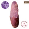 【土付き】イロドリムラサキ〈大サイズ〉画像1