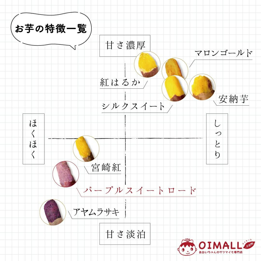 【洗い】イロドリムラサキ〈大サイズ〉画像2