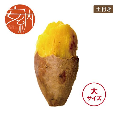 土付き】安納芋〈大サイズ〉｜安納とろとろ | サツマイモ専門店オイモール