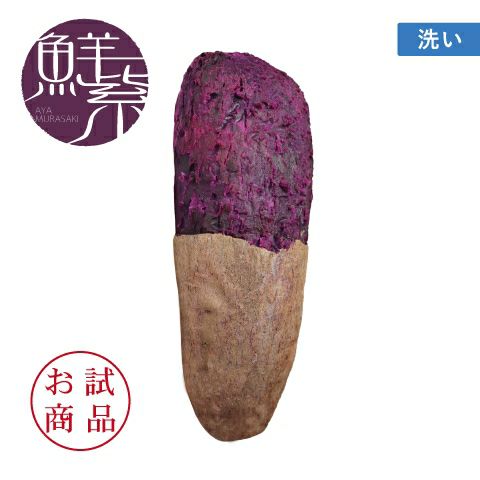 【お試商品】アヤムラサキ　洗い 〈中サイズ〉画像1