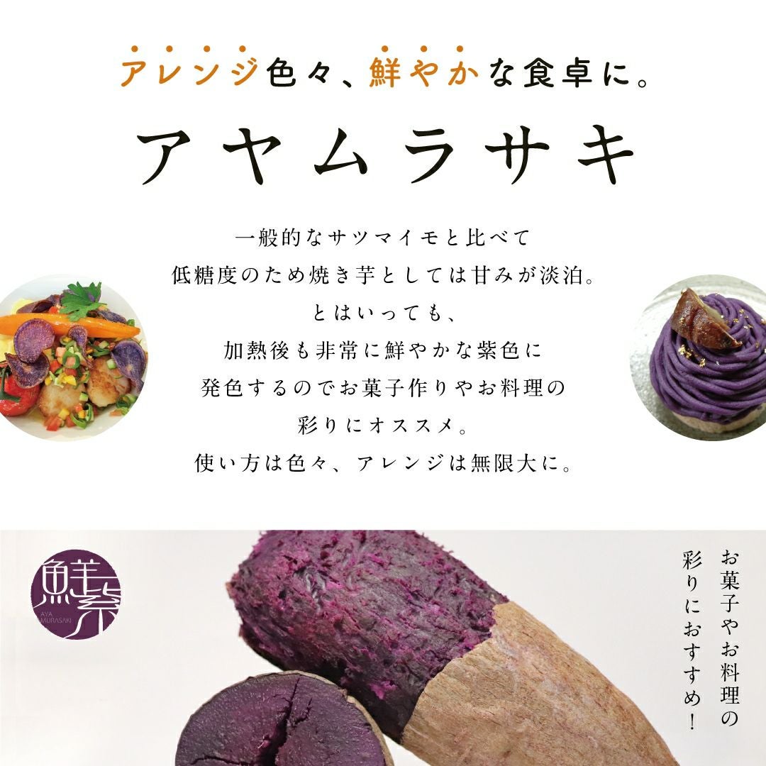 【洗い】アヤムラサキ〈大サイズ〉 　画像2