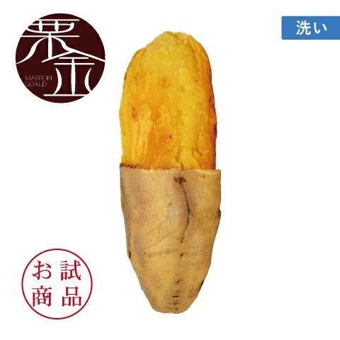 【お試商品】マロンゴールド　洗い 〈中サイズ〉　画像1