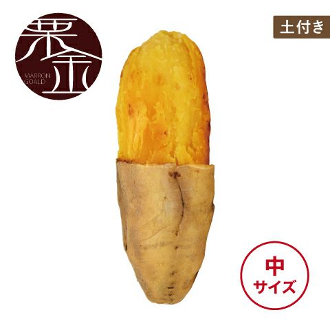 【土付き】マロンゴールド〈中サイズ〉　画像1
