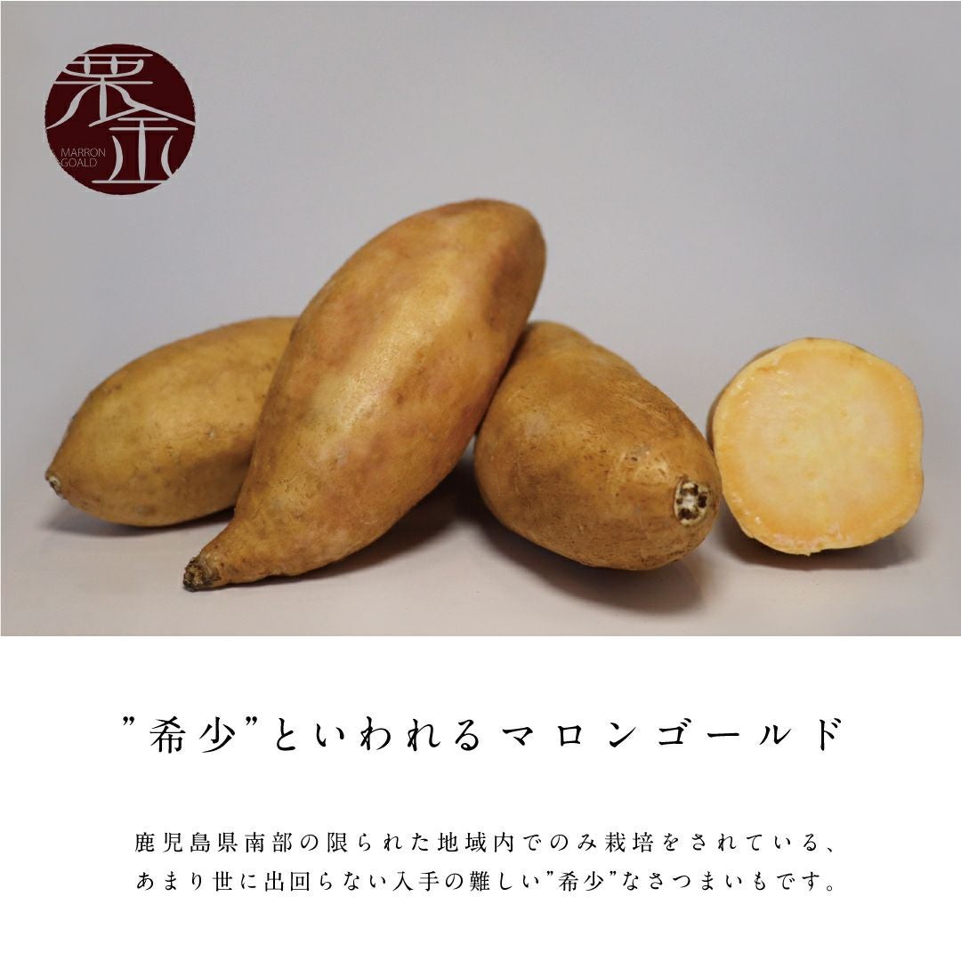 【洗い】マロンゴールド〈中サイズ〉 画像2