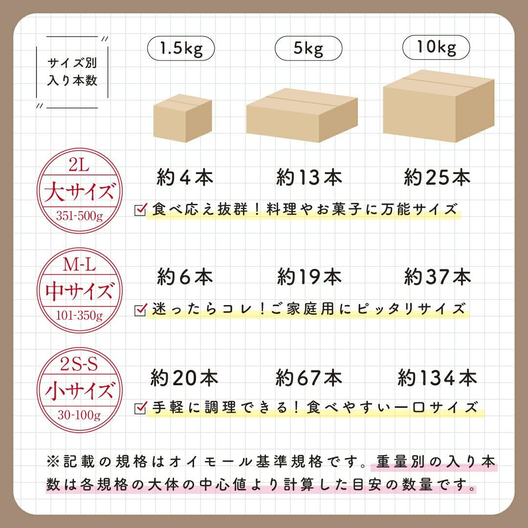 【土付き】マロンゴールド〈大サイズ〉 画像6