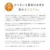 【洗い】ひなたスイート〈大サイズ〉画像8