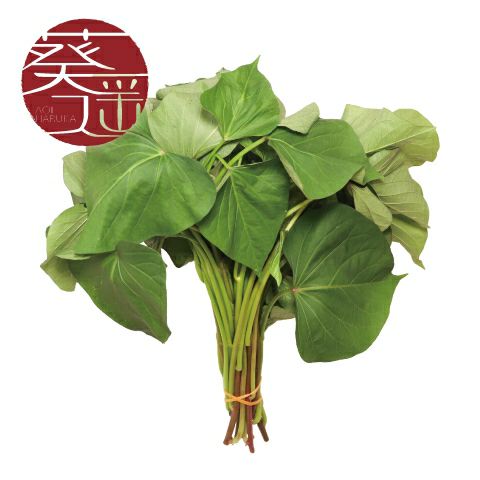 【さつまいも苗】紅はるか　画像1