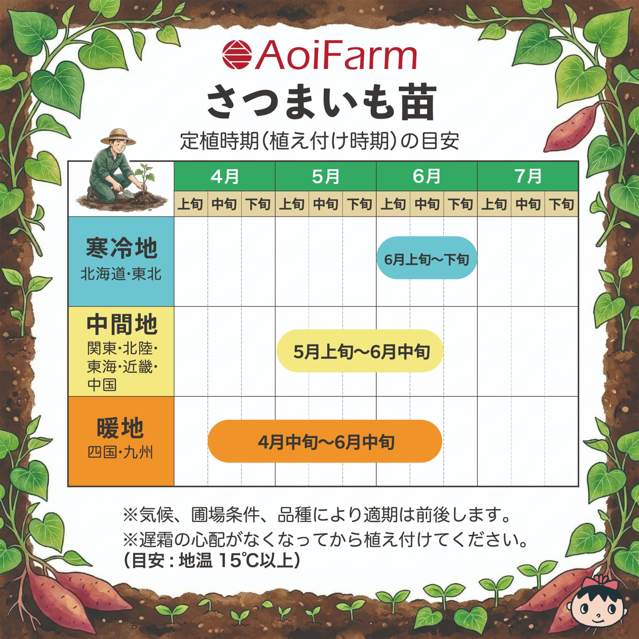 定植適期のご案内