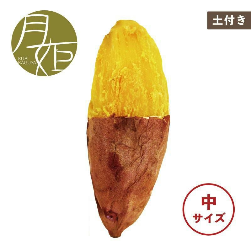 土付き】かぐや金時〈中サイズ〉 | サツマイモ専門店オイモール