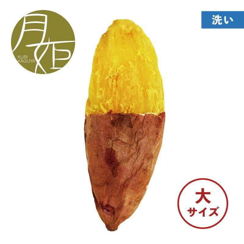 洗い】栗かぐや〈大サイズ〉｜かぐや金時 | サツマイモ専門店オイモール