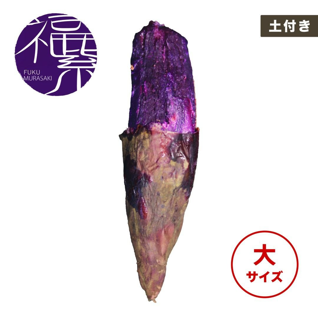 驚きの甘さ】フクムラサキ｜蜜たっぷりの紫芋ならオイモール