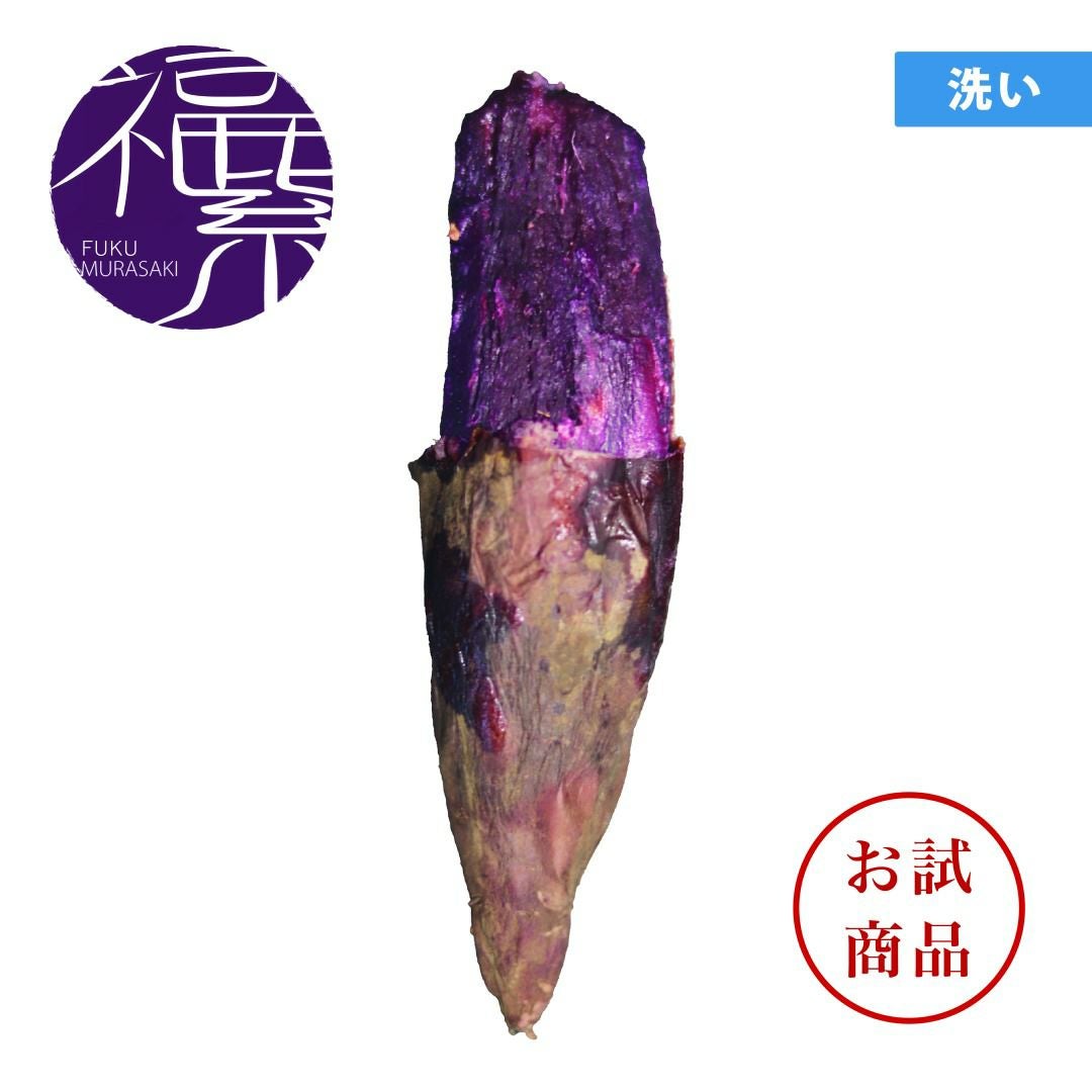 あき　シルク300本　ふくむらさき200本　5/16.17 お試商品】フクムラサキ 1.5kg | サツマイモ専門店オイモール