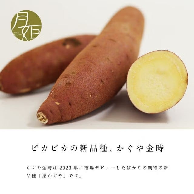 2026年予約】プロ仕様 さつまいも苗 栗かぐや (厳選切り苗) 家庭菜園