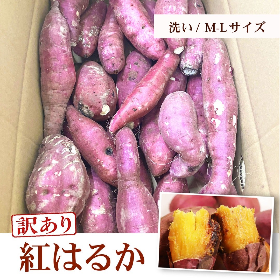 紅はるか_洗い