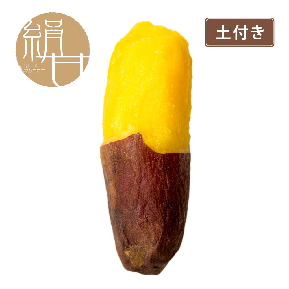 石狩のみらい畑＋おつまみ珍味様。専用。 栗黄金（マロンゴールド）苗150本。 商品一覧 | サツマイモ専門店オイモール